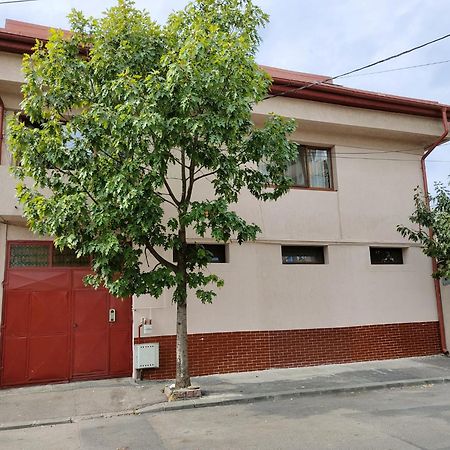 Z Villa Βουκουρέστι Εξωτερικό φωτογραφία